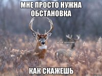 Мне просто нужна обстановка как скажешь