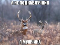 Я не подкаблучник Я мужчина