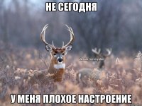 Не сегодня у меня плохое настроение