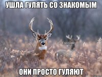 ушла гулять со знакомым они просто гуляют