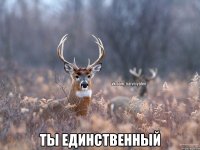  ты единственный