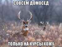 совсем домосед только на курсы хожу