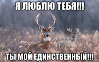 Я ЛЮБЛЮ ТЕБЯ!!! ТЫ МОЙ ЕДИНСТВЕННЫЙ!!!