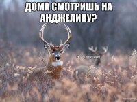 Дома смотришь на анджелину? 