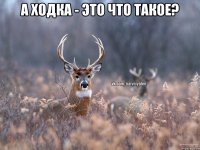 А ходка - это что такое? 