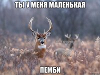 ТЫ У МЕНЯ МАЛЕНЬКАЯ ПЕМБИ