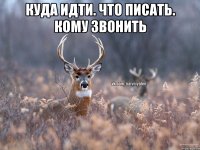 куда идти. что писать. кому звонить 