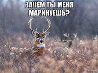 зачем ты меня маринуешь? 