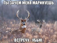 ты зачем меня маринуешь встречу - убью.