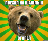 ПОЕХАЛ НА ШАШЛЫК СГОРЕЛ