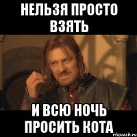 Нельзя просто взять и всю ночь просить кота