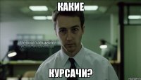 какие курсачи?