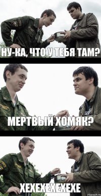 Ну-ка, что у тебя там? Мертвый хомяк? хехехехехехе