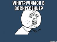 What?учимся в Воскресенье? 