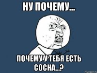 Ну Почему... Почему у тебя есть сосна...?