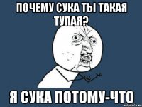 почему сука ты такая тупая? я сука потому-что