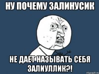 Ну почему Залинусик не дает называть себя Залиуллик?!