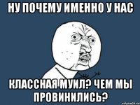 Ну почему именно у нас Классная Муил? Чем мы провинились?