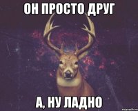 ОН ПРОСТО ДРУГ А, НУ ЛАДНО