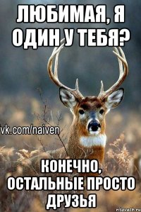 любимая, я один у тебя? конечно, остальные просто друзья