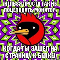 Нельзя просто так не поцеловать монитор, когда ты зашел на страницу к Белке!