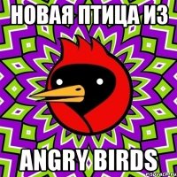 новая птица из angry birds