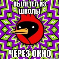 вылетел из школы через окно