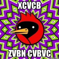 xcvcb zvbn cvbvc