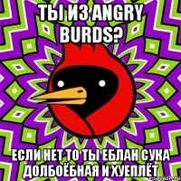 ты из angry burds? если нет то ты еблан сука долбоёбная и хуеплёт