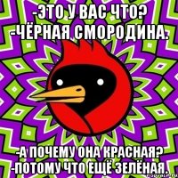 -Это у вас что? -Чёрная смородина. -А почему она красная? -Потому что ещё зелёная.