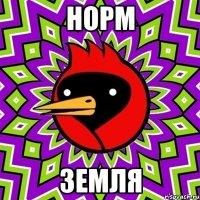 норм земля