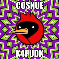 coSNue K4PUdk