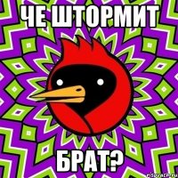 Че штормит Брат?