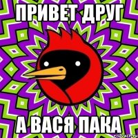 Привет друг а вася пака