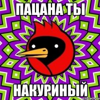 Пацана ты Накуриный