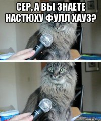 Сер, а вы знаете Настюху фулл хауз? 