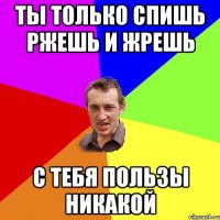 ты только спишь ржешь и жрешь с тебя пользы никакой