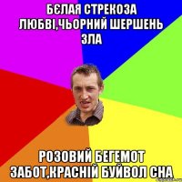 Бєлая стрекоза любві,Чьорний шершень зла Розовий бегемот забот,красній буйвол сна