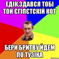 Едік,здався тобі той єгіпєтскій кот бери бритву йдем по Тузіка