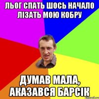 льог спать шось начало лізать мою кобру думав мала, аказався барсік