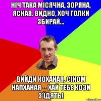 Ніч така місячна, зоряна, ясная. Видно, хоч голки збирай... Вийди коханая, сіном напханая -- хай тебе кози з'їдять!