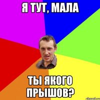 Я тут, мала Ты якого прышов?