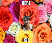 Cerf kj[