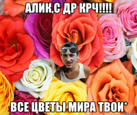 Алик,С ДР КРЧ!!!! Все цветы мира твои*