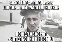 захотелось посрать в школе а там туалеты низкие пошел обосрал учительский и не змил