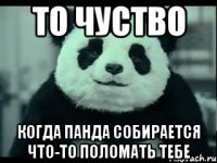 то чуство когда панда собирается что-то поломать тебе