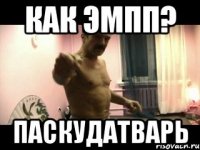 как эмпп? ПАСКУДАТВАРЬ