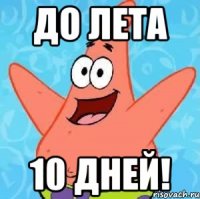 До лета 10 дней!