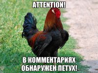 Attention! В комментариях обнаружен петух!