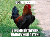 Осторожно! В комментариях обнаружен петух!